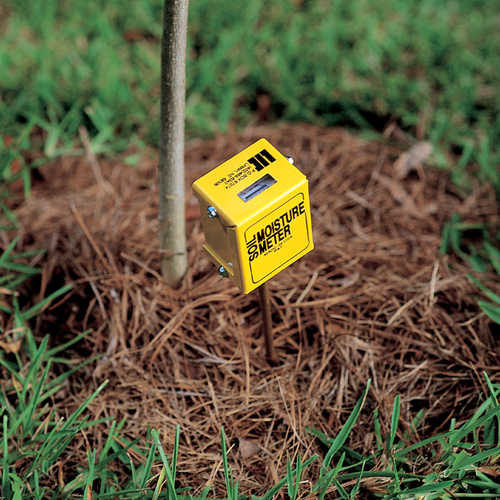 Soil Moisture Meter  Plant Water Checker – Backyard Botanist
