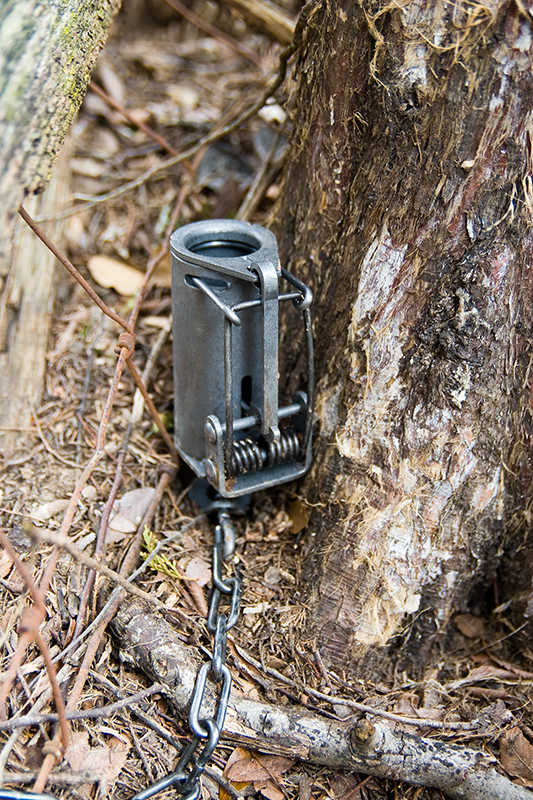 Duke Dog-Proof Raccoon Trap | Forestry Suppliers, Inc.